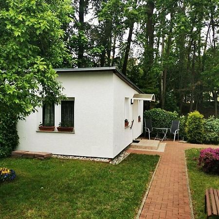 Ferienbungalow Im Igelbau Бабе Экстерьер фото